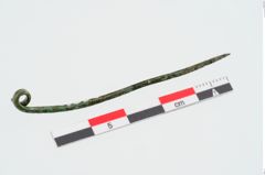 Foto von Bronzefibelnadel (NHMW-PRAE-025013)